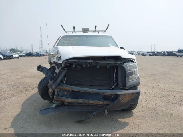 1FTFX1EF2GFA65397 Ford F-150 Xl