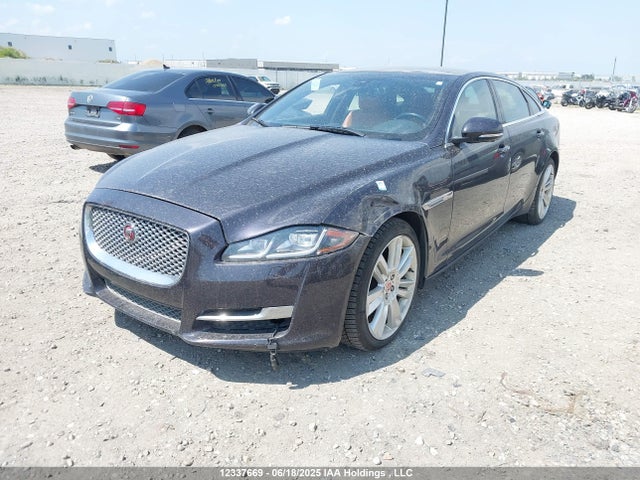 12337669 :رقم المزاد ، SAJXJ2GD1G8V92506 vin ، 2016 Jaguar Xjl Portfolio مزاد بيع