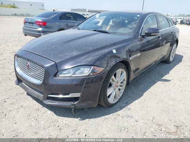 12337669 :رقم المزاد ، SAJXJ2GD1G8V92506 vin ، 2016 Jaguar Xjl Portfolio مزاد بيع