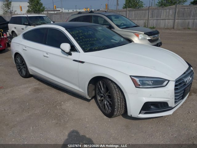 WAUFNCF55KA004720 Audi 2019