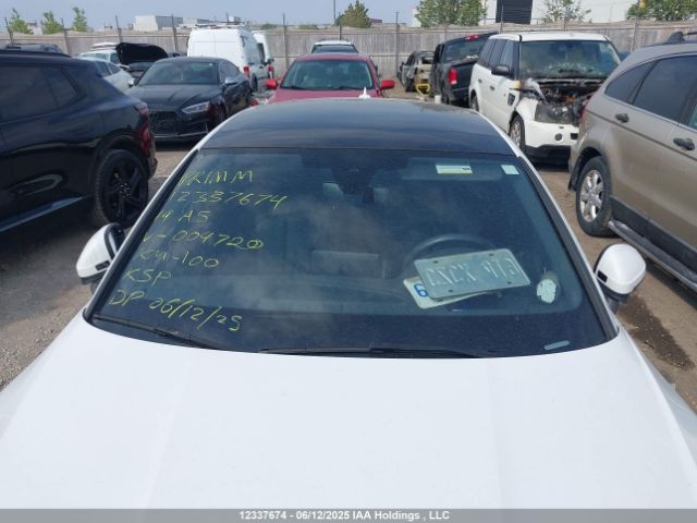 WAUFNCF55KA004720 Audi 2019