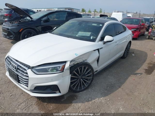 WAUFNCF55KA004720 Audi 2019