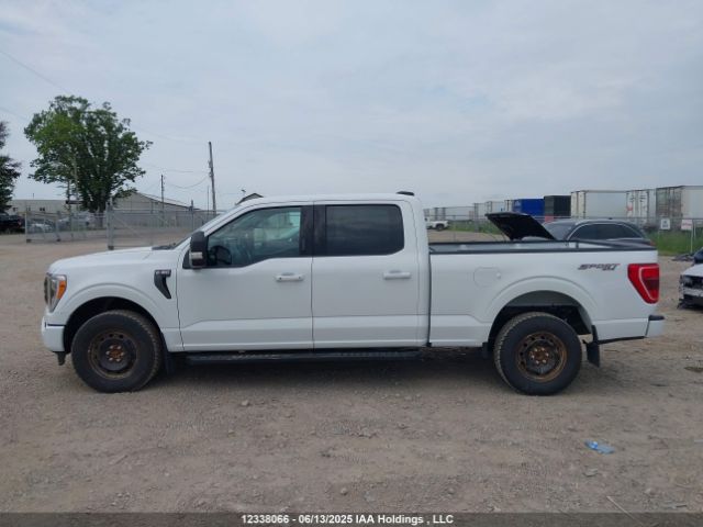 1FTFW1E8XNFB10006 Ford gtdi