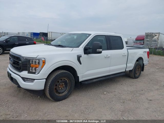 1FTFW1E8XNFB10006 Ford gtdi
