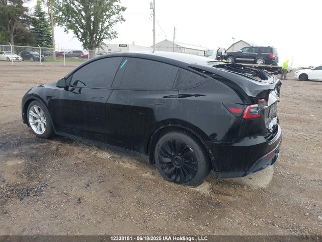 Tesla Model Y 2023 7SAYGDEE0PF775889 Image 3