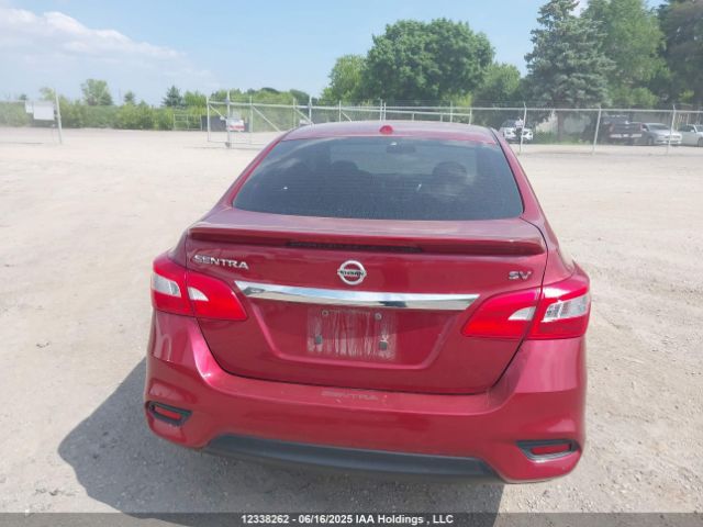 3N1AB7APXGL648707 Nissan Sentra