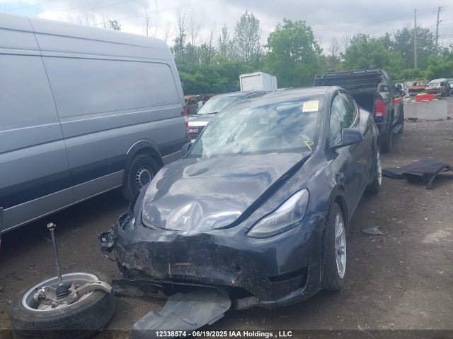 Tesla 2024 2024 7SAYGDEE1RF083854 Image 12
