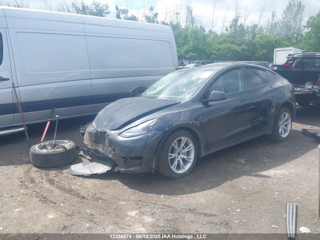 Tesla 2024 2024 7SAYGDEE1RF083854 Image 2