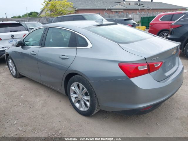 1G1ZD5ST1PF181786 Chevrolet lfv