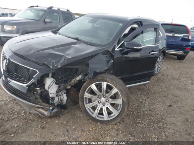 1GYFZDR49LF045947 Cadillac lsy - sidi, vvt, alum, var 3
