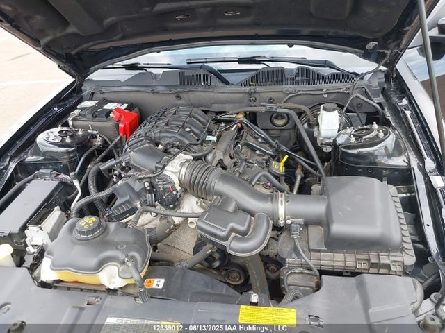 1ZVBP8AM1E5213891 Ford Mustang