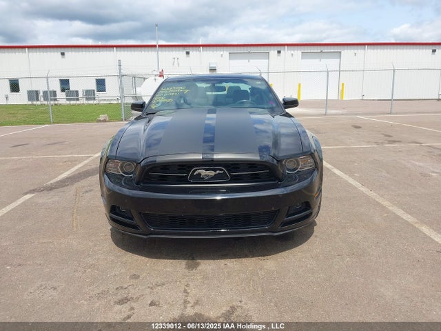 1ZVBP8AM1E5213891 Ford Mustang