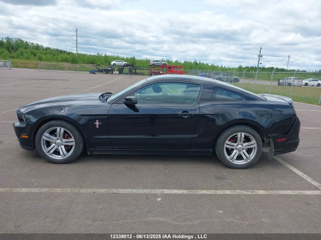 1ZVBP8AM1E5213891 Ford Mustang