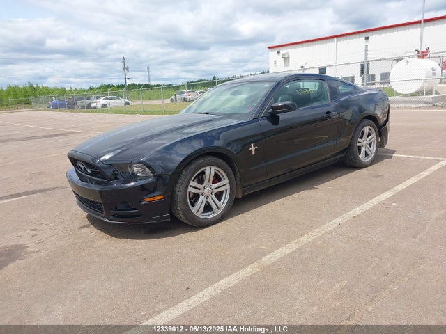 1ZVBP8AM1E5213891 Ford Mustang