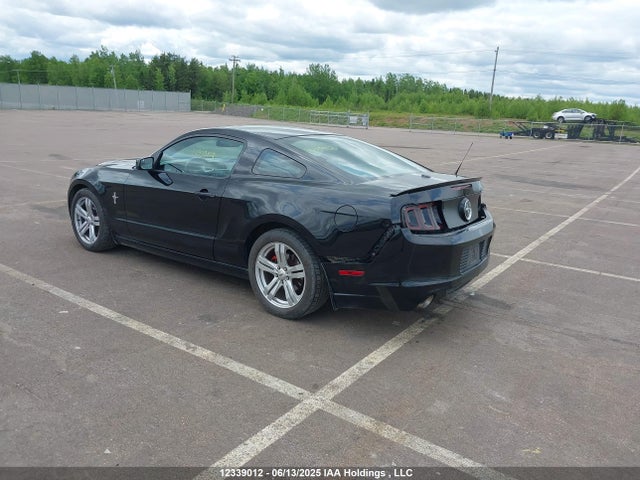1ZVBP8AM1E5213891 Ford Mustang