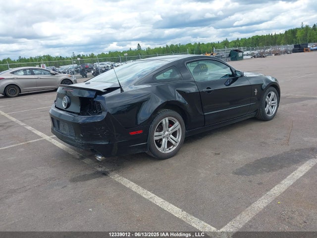 1ZVBP8AM1E5213891 Ford Mustang