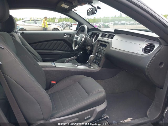 1ZVBP8AM1E5213891 Ford Mustang