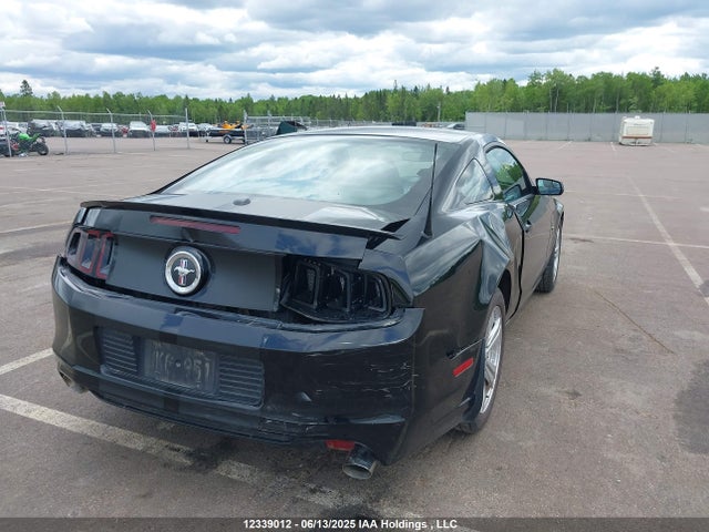 1ZVBP8AM1E5213891 Ford Mustang