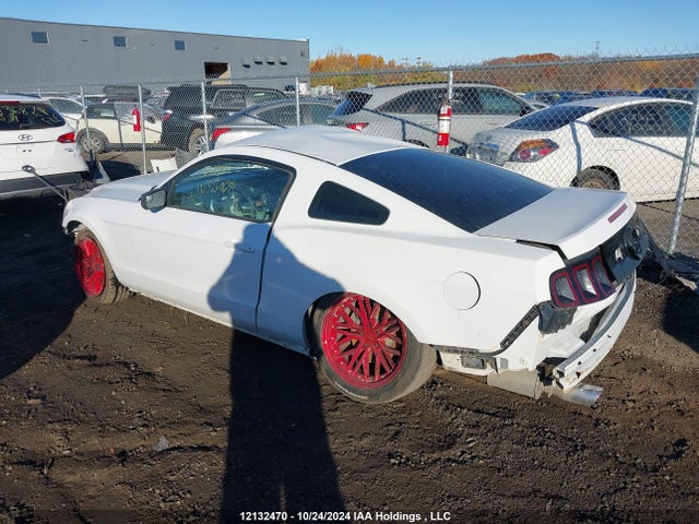 1ZVBP8AM1E5250634 Ford Mustang V6