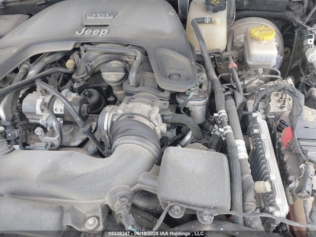 1C4HJXFG5MW572827 Jeep Wrangler
