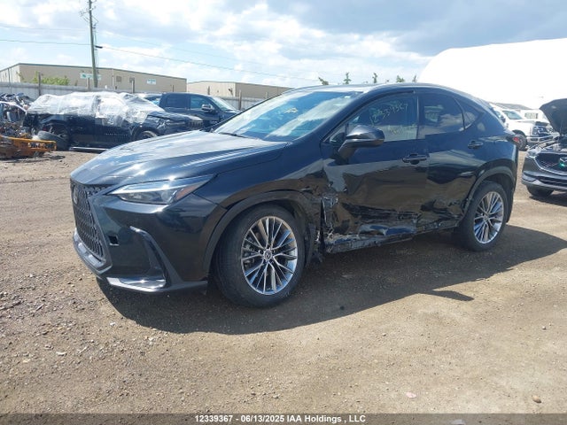 Lexus a25a-fxs, 5nm+4nm 2022 2T2GKCEZ6NC004113 Image 2