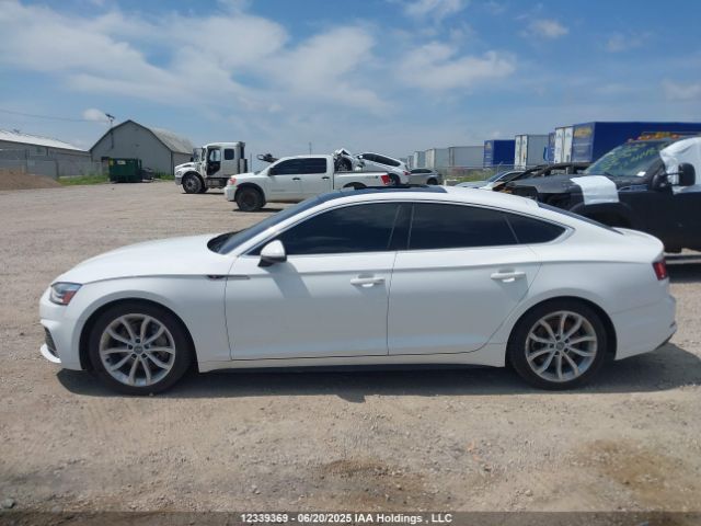 WAUENCF51KA074193 Audi 2019