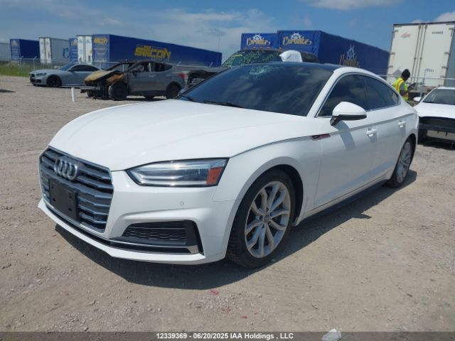 WAUENCF51KA074193 Audi 2019