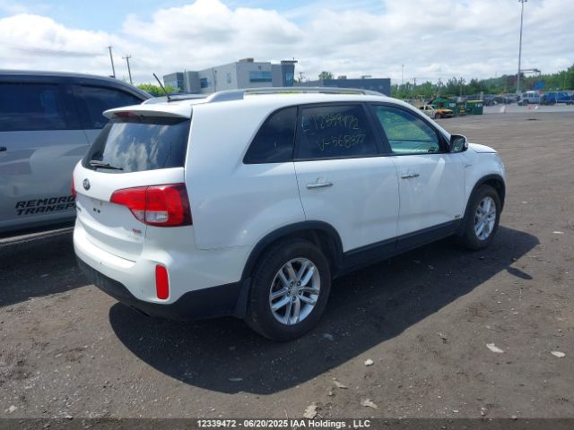 5XYKTCA63FG568377 KIA dohc t-gdi theta-ii