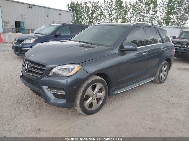 4JGDA2EB7FA559502 Mercedes-Benz Ml-Class