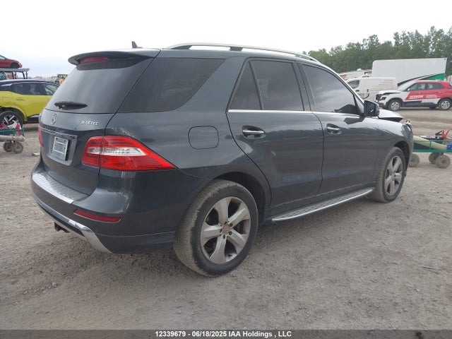 4JGDA2EB7FA559502 Mercedes-Benz Ml-Class