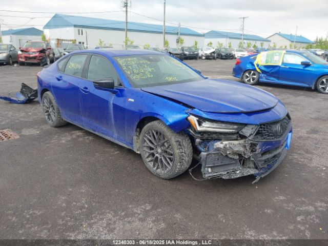 19UUB6F59MA802579 auction archive image