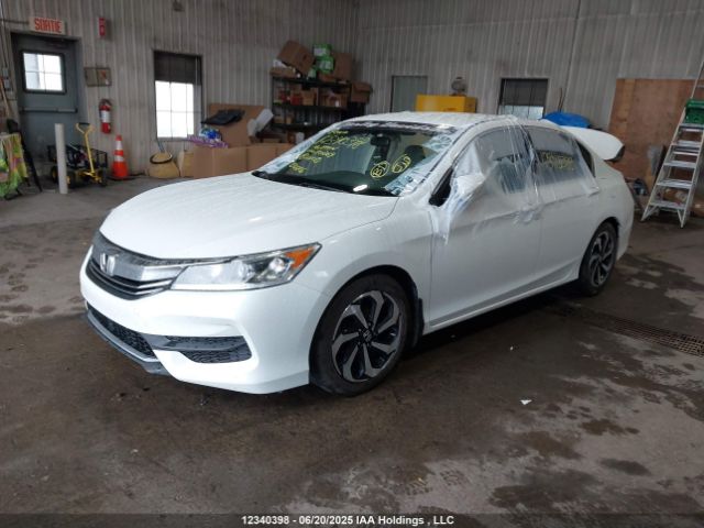 1HGCR2E32GA800869 Honda k24w1
