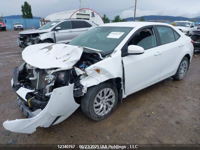 Toyota 2zr-fe 2019 2T1BURHE3KC246924 Image 3