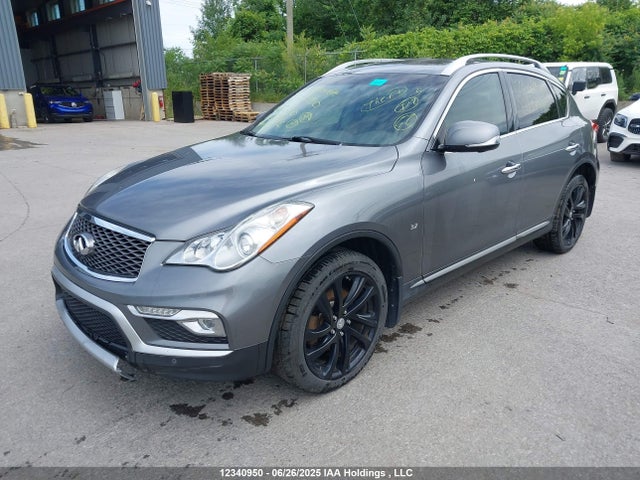 JN1BJ0RRXGM261942 Infiniti QX50
