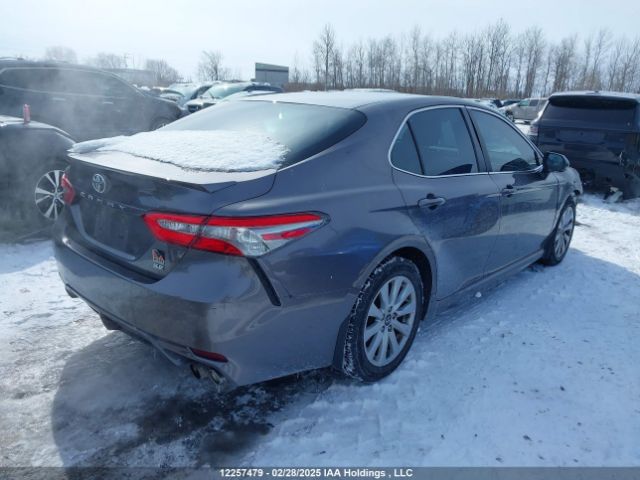 4T1B11HK4JU543102 Toyota CAMRY SE