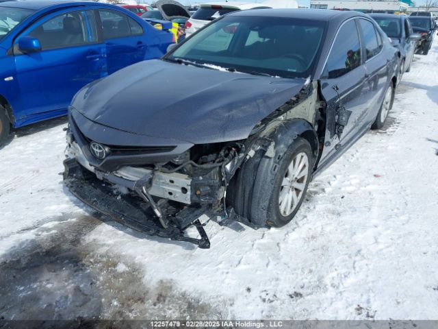 4T1B11HK4JU543102 Toyota CAMRY SE