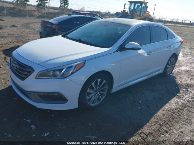 5NPE34AF8FH259192 Hyundai Sonata Sport