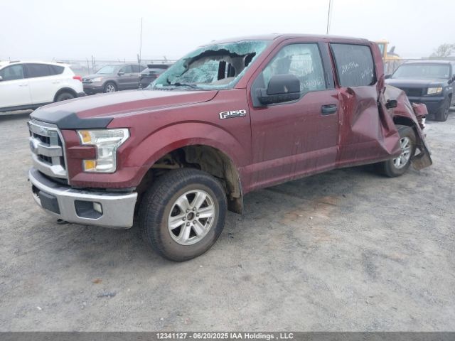 1FTEW1E80FFC23914 Ford 2015