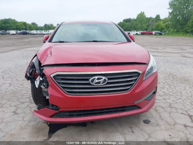 5NPE24AF1HH525819 Hyundai Sonata