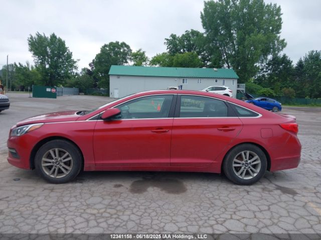 5NPE24AF1HH525819 Hyundai Sonata