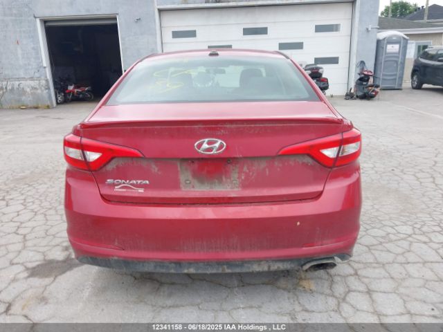 5NPE24AF1HH525819 Hyundai Sonata