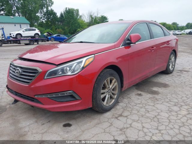 5NPE24AF1HH525819 Hyundai Sonata