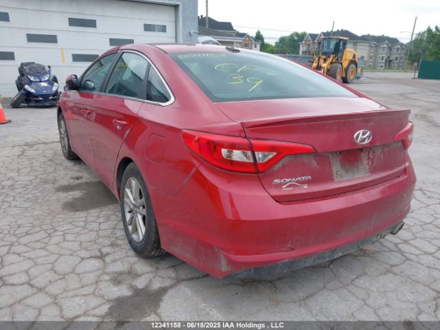 5NPE24AF1HH525819 Hyundai Sonata