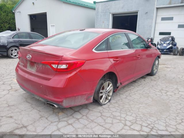 5NPE24AF1HH525819 Hyundai Sonata