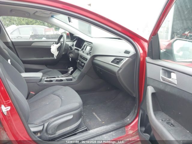 5NPE24AF1HH525819 Hyundai Sonata