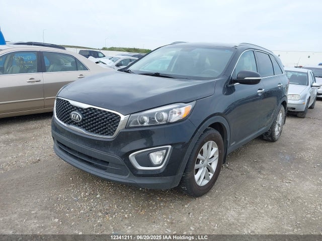 5XYPGDA14HG211135 KIA 2017