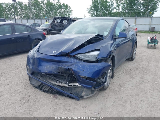 Tesla Model Y 2024 7SAYGDEE8RF084404 Image 6