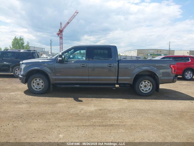 1FTFW1EG8FFA81212 Ford F-150