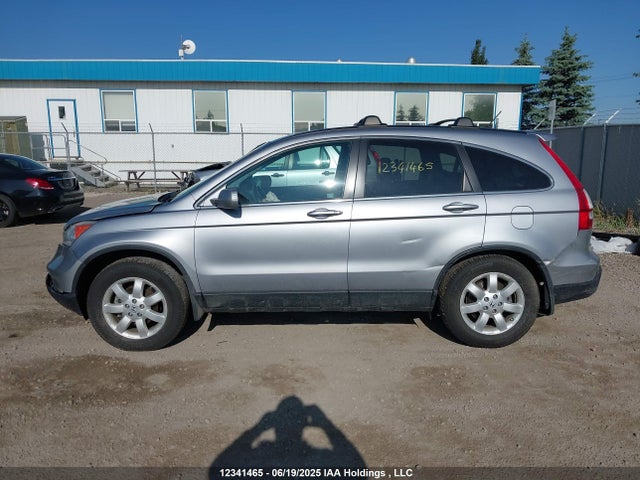Aukcja sprzedaży 2007 Honda Cr-v Exl, vin: 5J6RE48707L817716, numer aukcji: 12341465