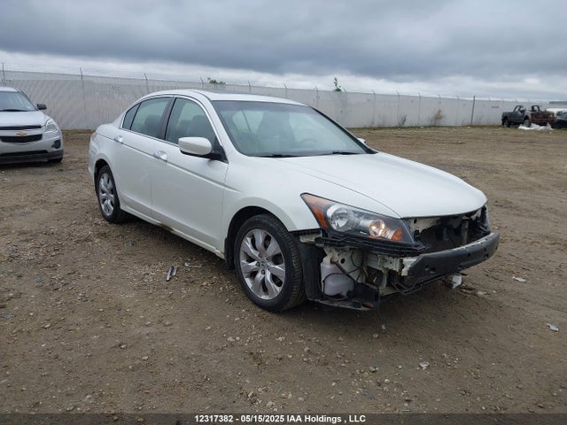 Продаж на аукціоні авто 2009 Honda Accord Ex-l V6, vin: 1HGCP36829A800783, номер лоту: 12317382